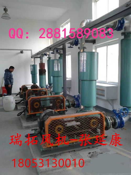 曝气罗茨风机现场使用图片,曝气罗茨风机价格